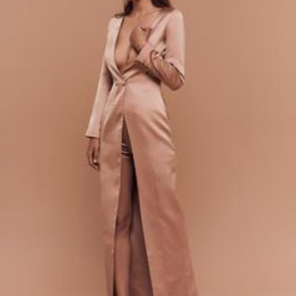 BSSA bronze silky luxurious blazer dress.